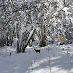 Auvergne Sancy